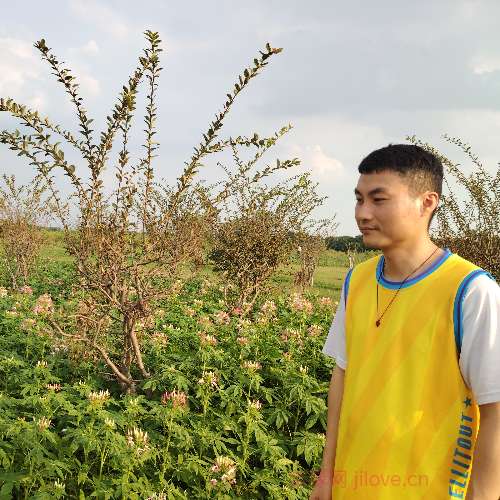 37岁岁广东单身帅哥 - 淮南吉缘网